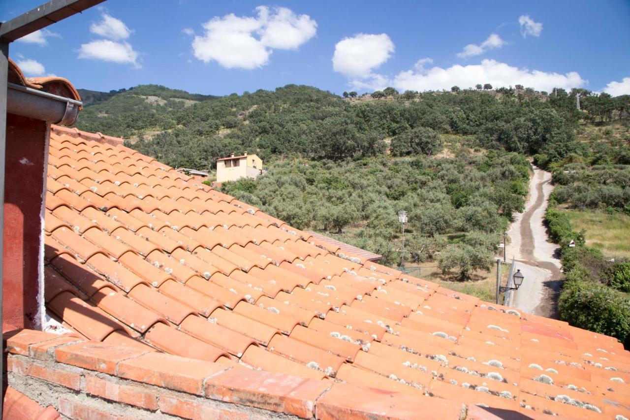 Villa La Charca De La Dehesa Casas del Monte Exterior foto